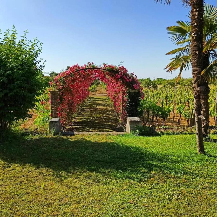 Bed and Breakfast Le Stanze Dei Mori - Quadrupla Con Bagno Privato Mascalucia Exterior foto