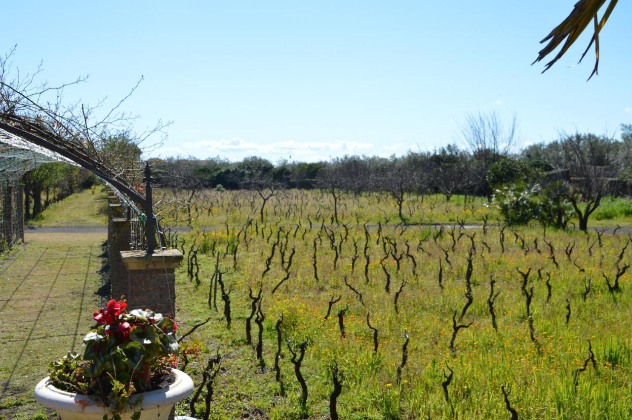 Bed and Breakfast Le Stanze Dei Mori - Quadrupla Con Bagno Privato Mascalucia Exterior foto